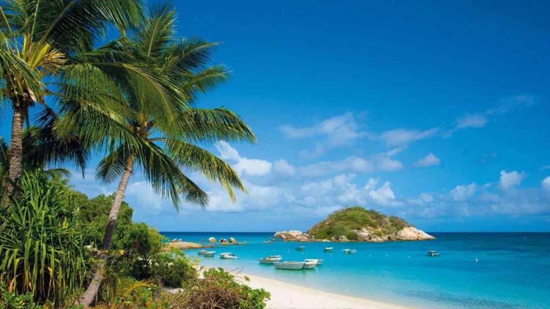 香港华人台报道：银海逐浪——放梦大海南，由电影《海南女婿英国郎》所引发的思考